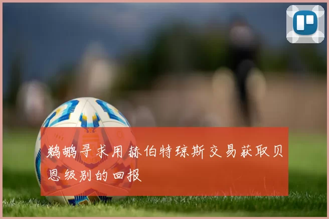 鹈鹕寻求用赫伯特琼斯交易获取贝恩级别的回报